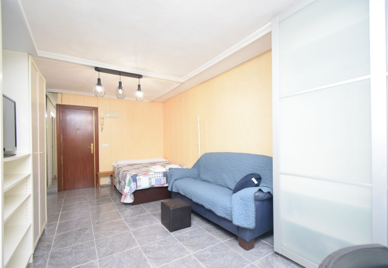 Studio in Benidorm - SERVIHOTEL 306B
