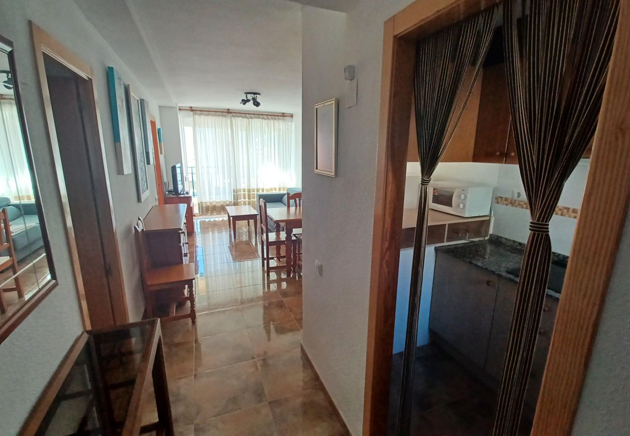 Apartment in Peñiscola - PP B1-822 (131)