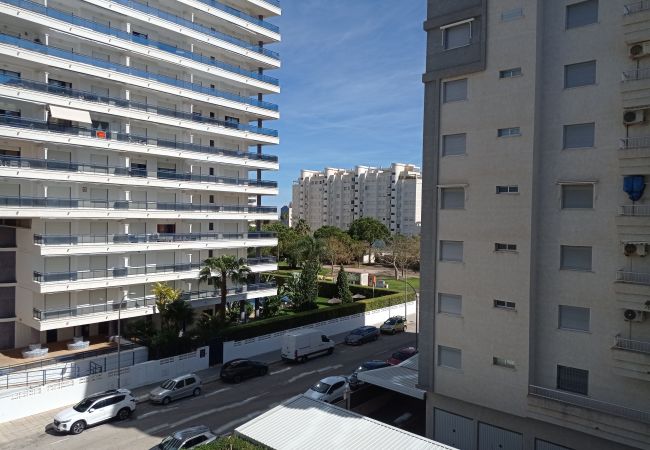 Apartment in Playa de Gandía - 1.Palmeras III bl.II esc.1 4º B