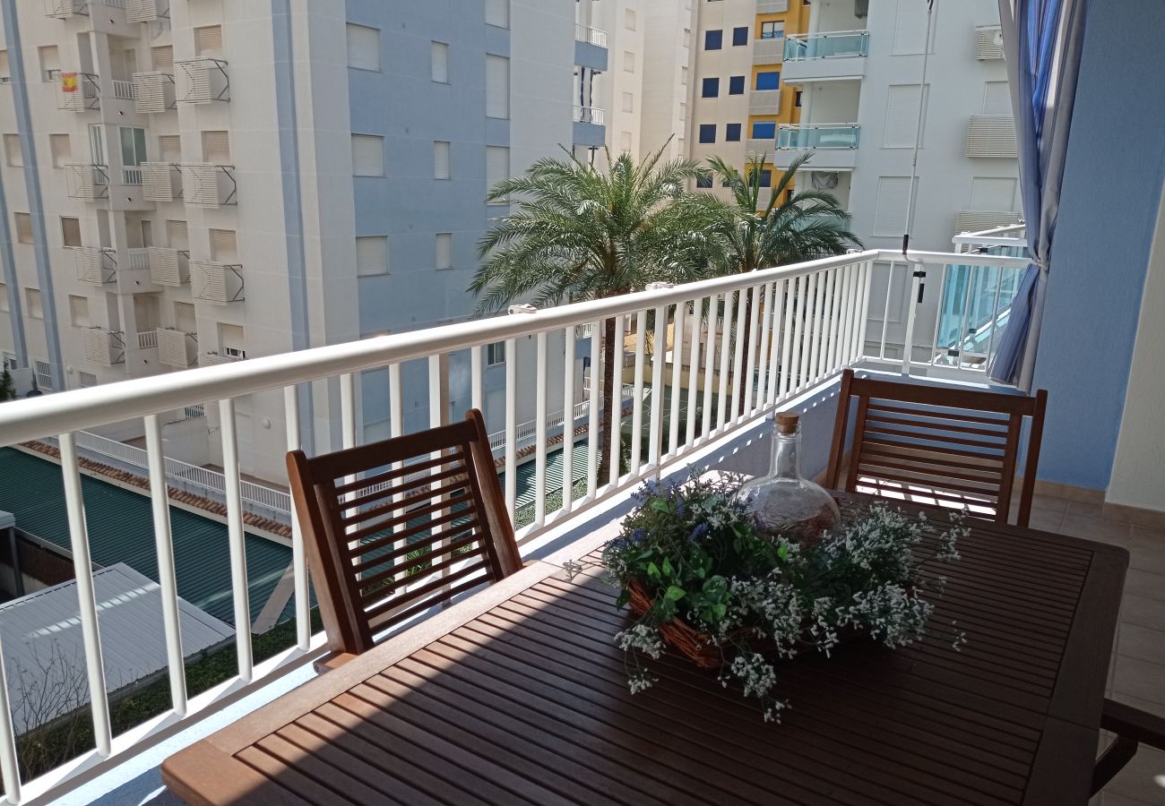 Apartment in Playa de Gandía - 1.Palmeras III bl.II esc.1 4º B
