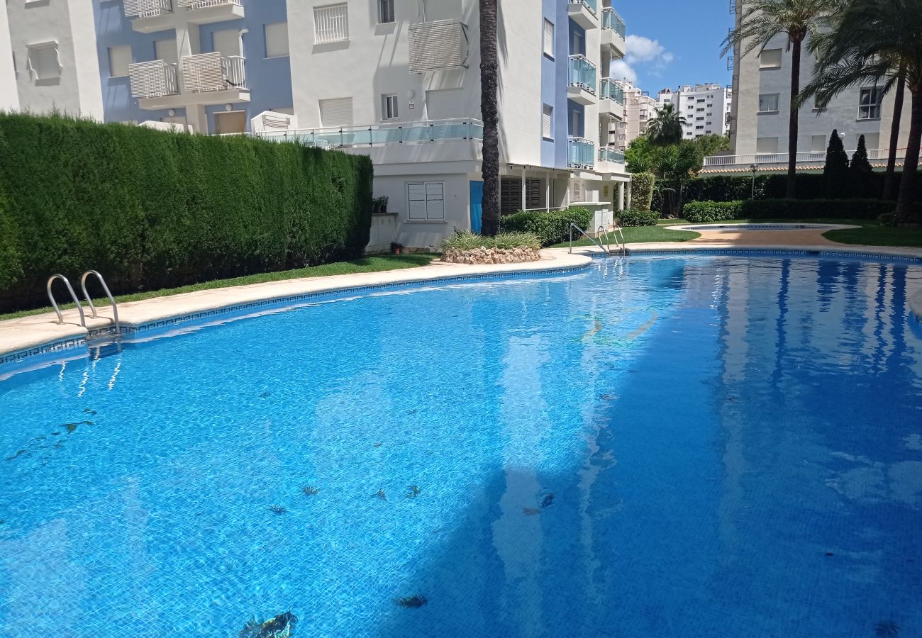 Apartment in Playa de Gandía - 1.Palmeras III bl.II esc.1 4º B