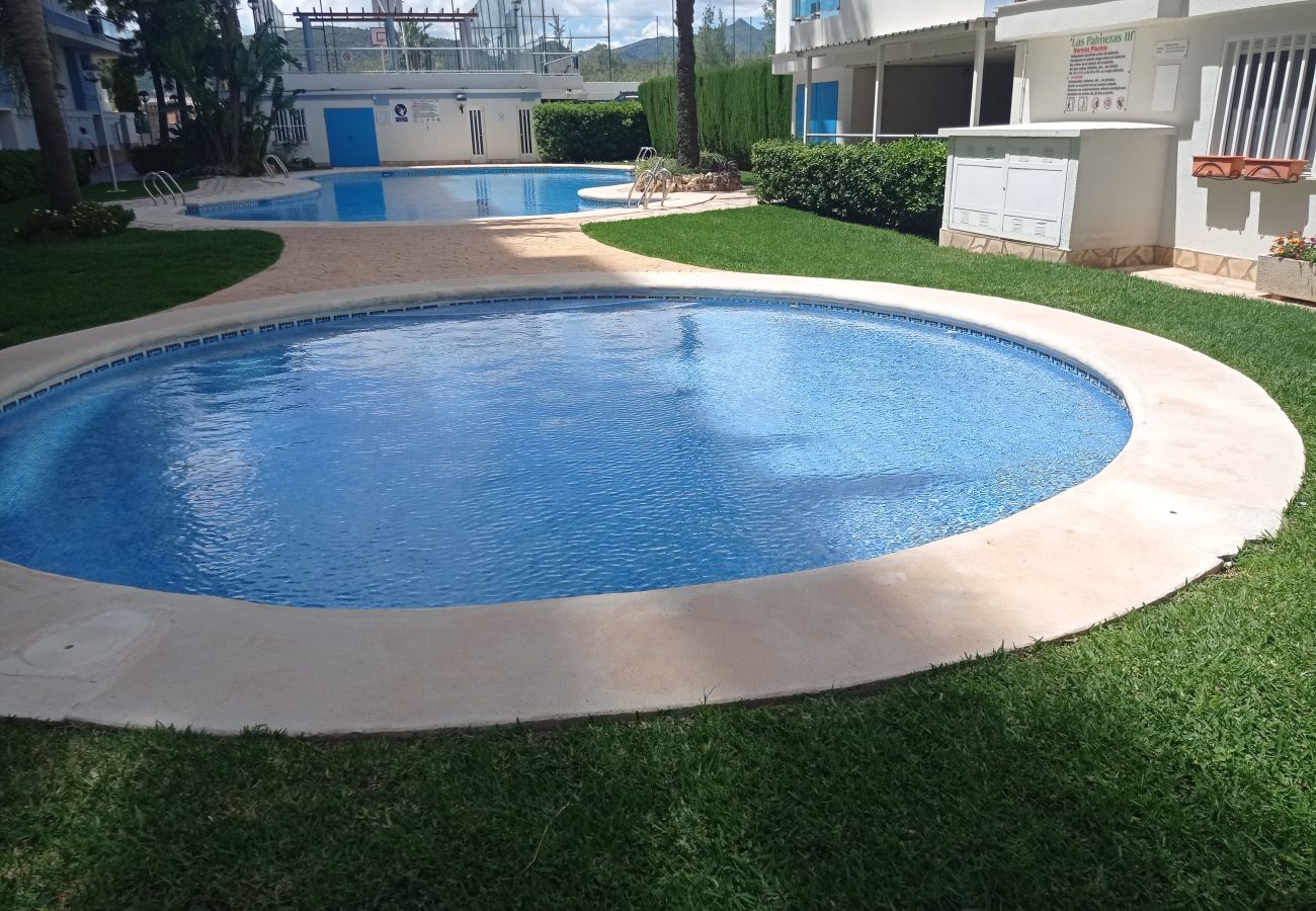 Apartment in Playa de Gandía - 1.Palmeras III bl.II esc.1 4º B