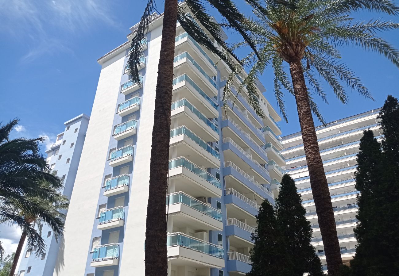 Apartment in Playa de Gandía - 1.Palmeras III bl.II esc.1 4º B