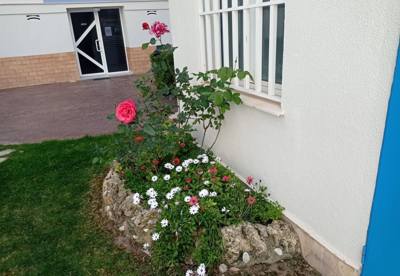 Apartment in Playa de Gandía - 1.Palmeras III bl.II esc.1 4º B