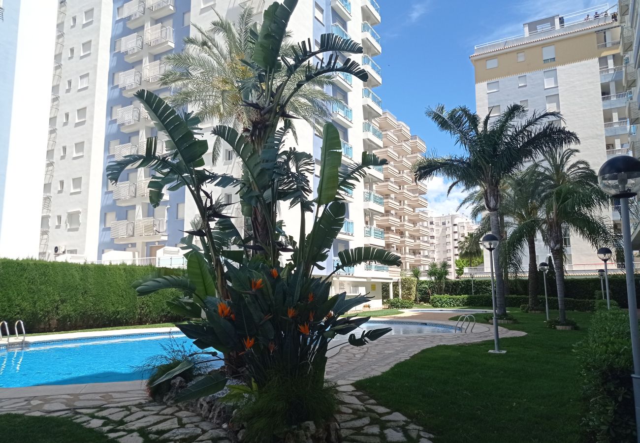 Apartment in Playa de Gandía - 1.Palmeras III bl.II esc.1 4º B