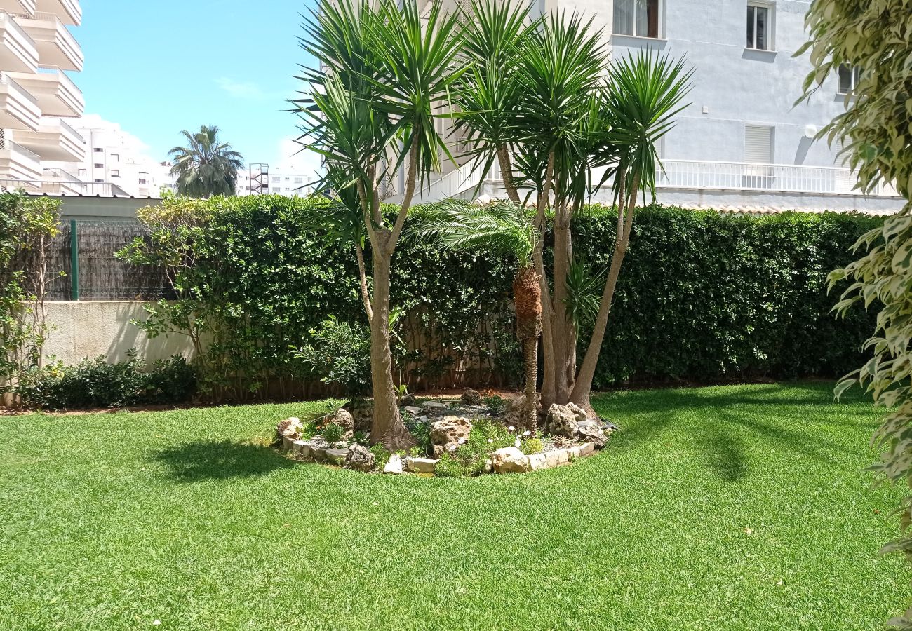 Apartment in Playa de Gandía - 1.Palmeras III bl.II esc.1 4º B