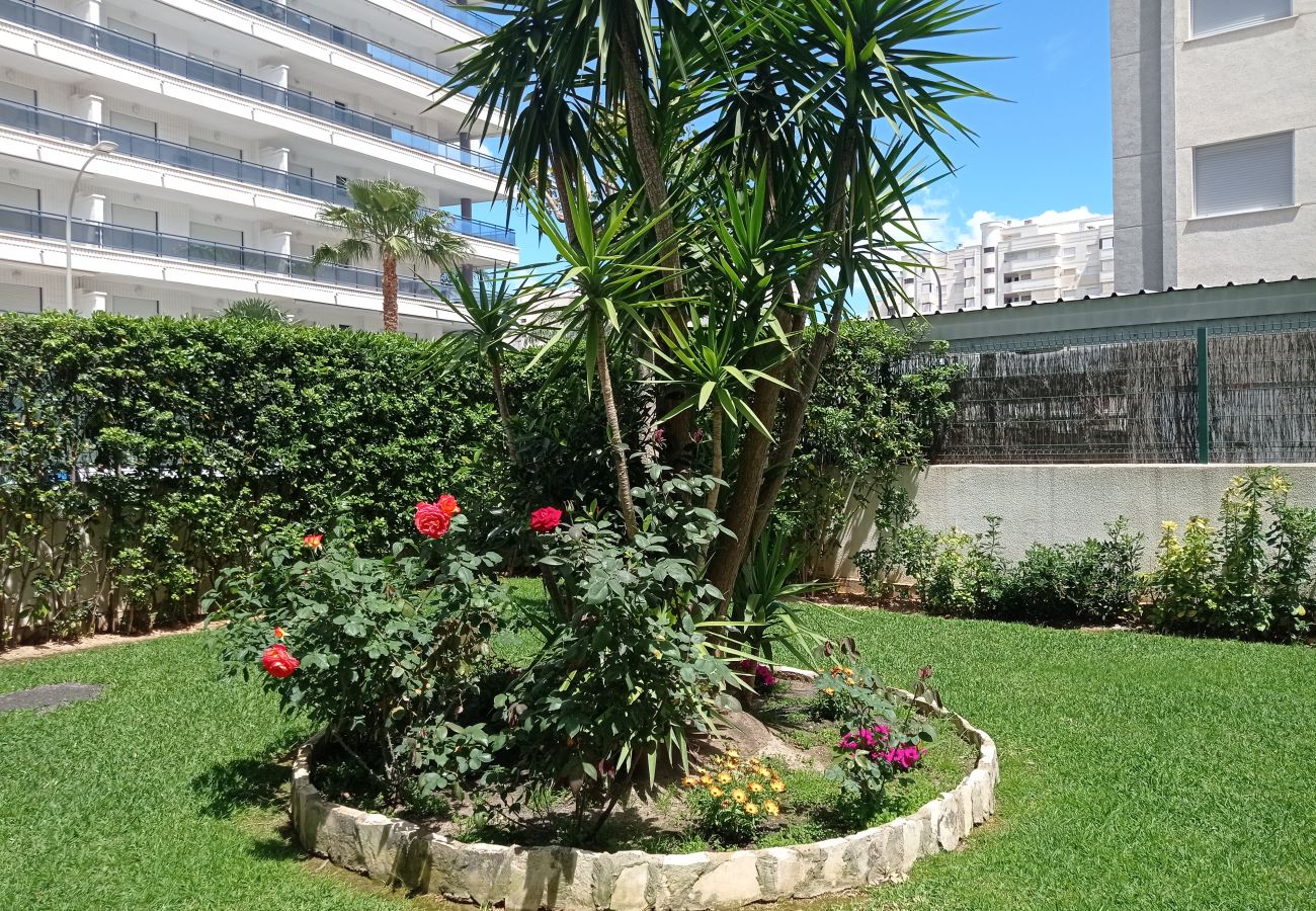 Apartment in Playa de Gandía - 1.Palmeras III bl.II esc.1 4º B