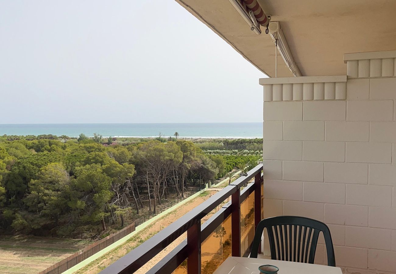 Apartment in Playa de Gandía - 1.Rioja Salinas IV esc.1 8º-16ª