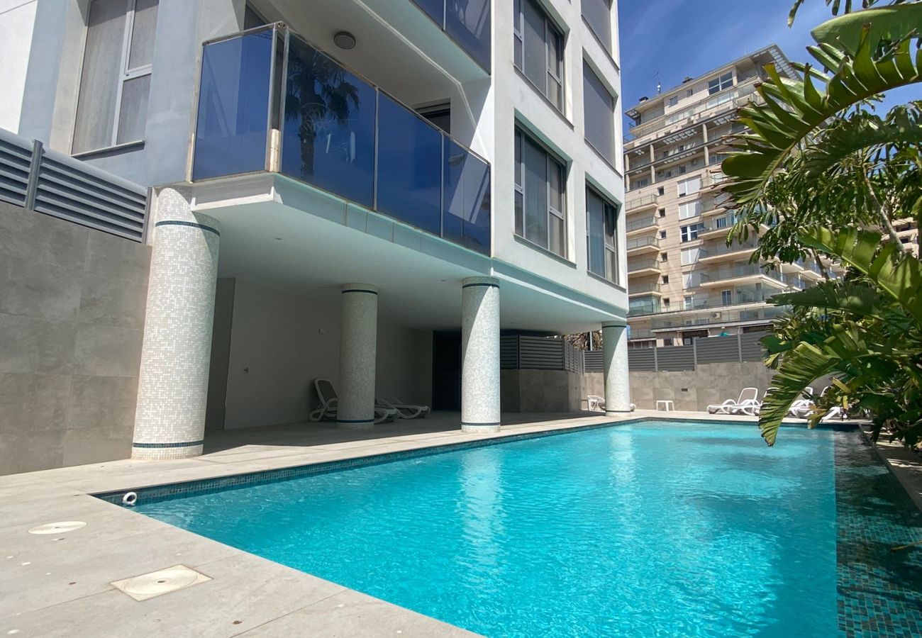 Apartment in Calpe / Calp - Alq 300 Holamar Apartment 