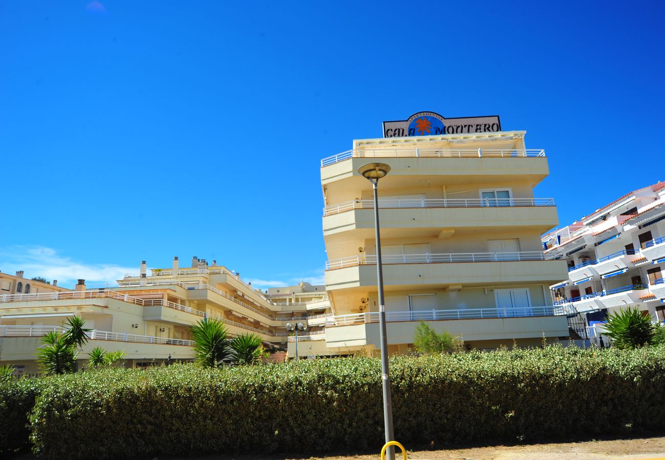 Apartment in Alcocebre / Alcossebre - CALA MONTERO 9-2-65