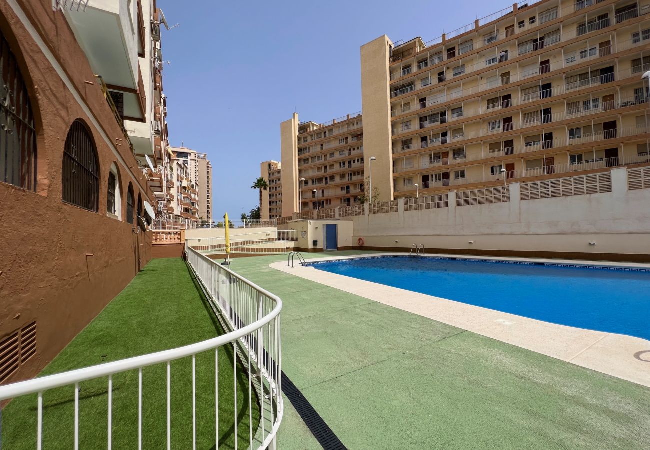 Apartment in Calpe / Calp - Alq 305 Calalga Apartment