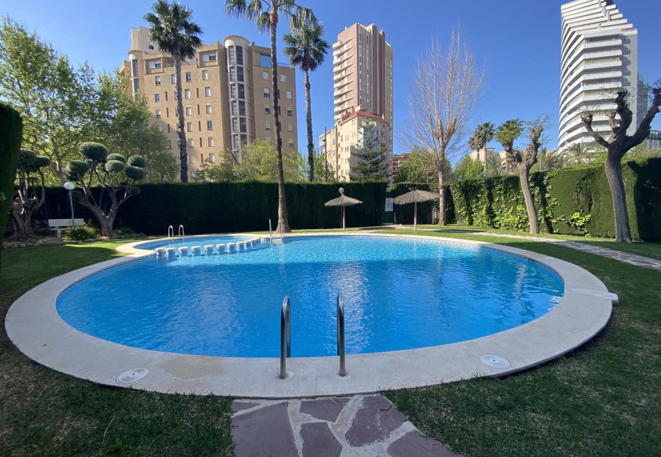 Apartment in Calpe / Calp - Alq 298 Peñasol 1 - 50 mts Arenal