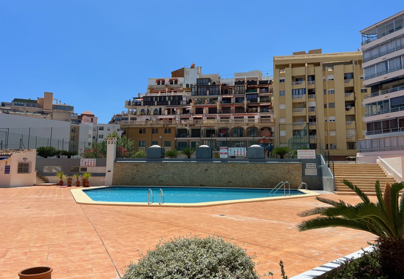 Apartment in Calpe / Calp - Alq 304 Apolo 4 Apartment 