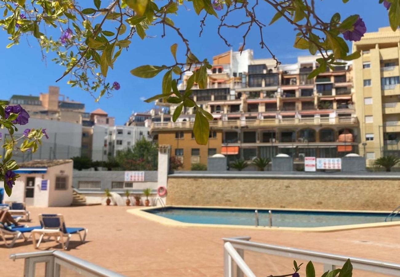Apartment in Calpe / Calp - Alq 304 Apolo 4 Apartment 