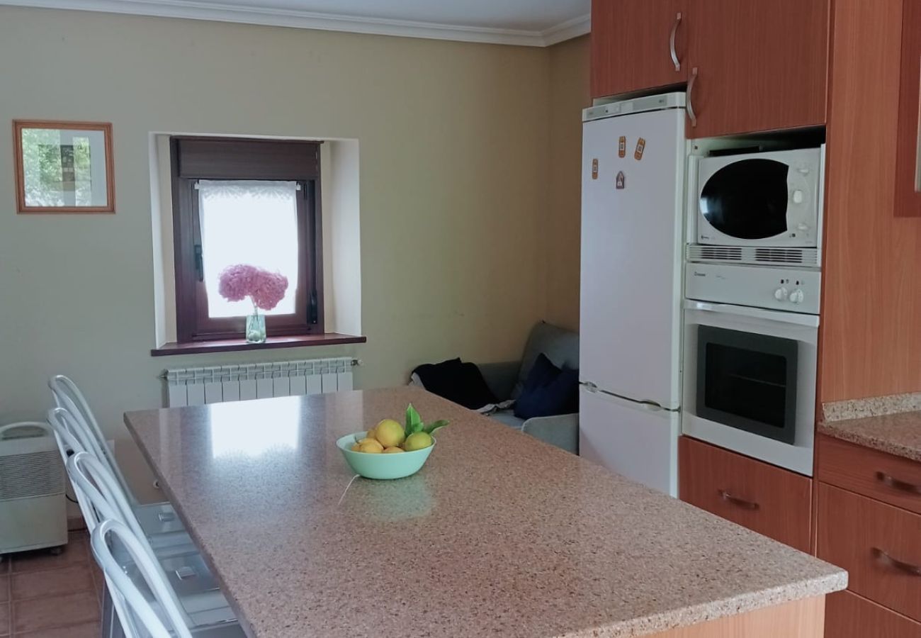 House in Ribadesella - 13A05 La Casina en Sebreño