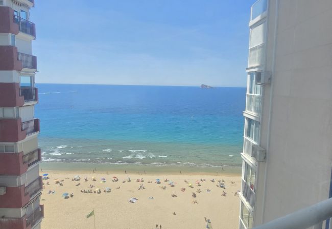  in Benidorm - TORRE YAGO 15-1