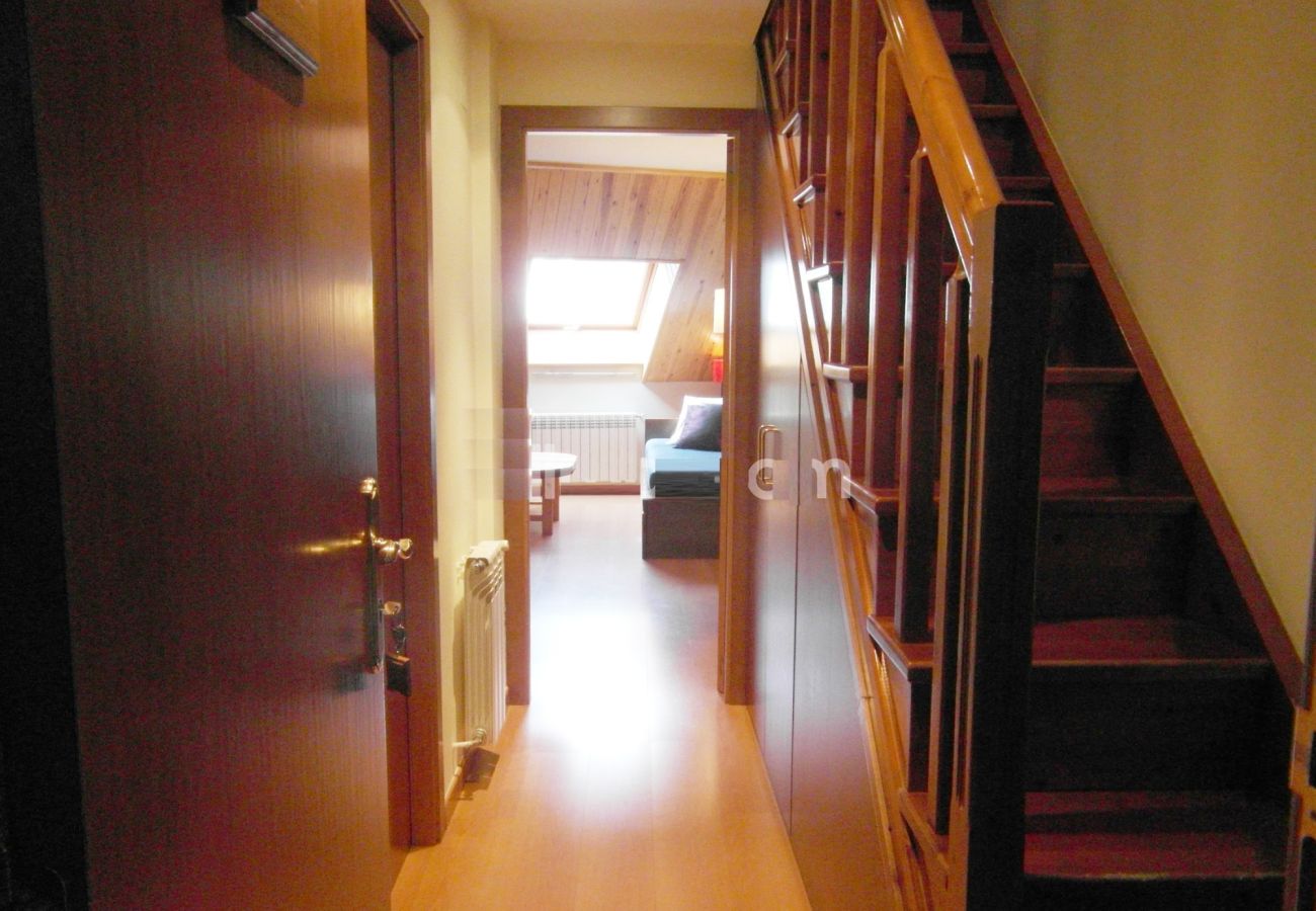Apartment in Benasque - BENASQUE DUPLEX 20302