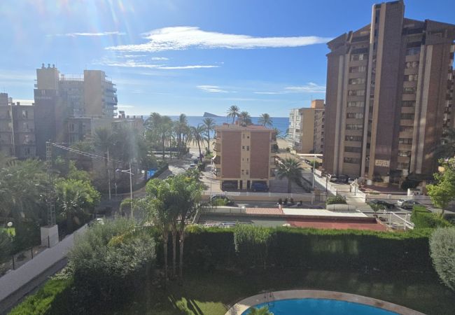  in Benidorm - CASTELMAR 1C