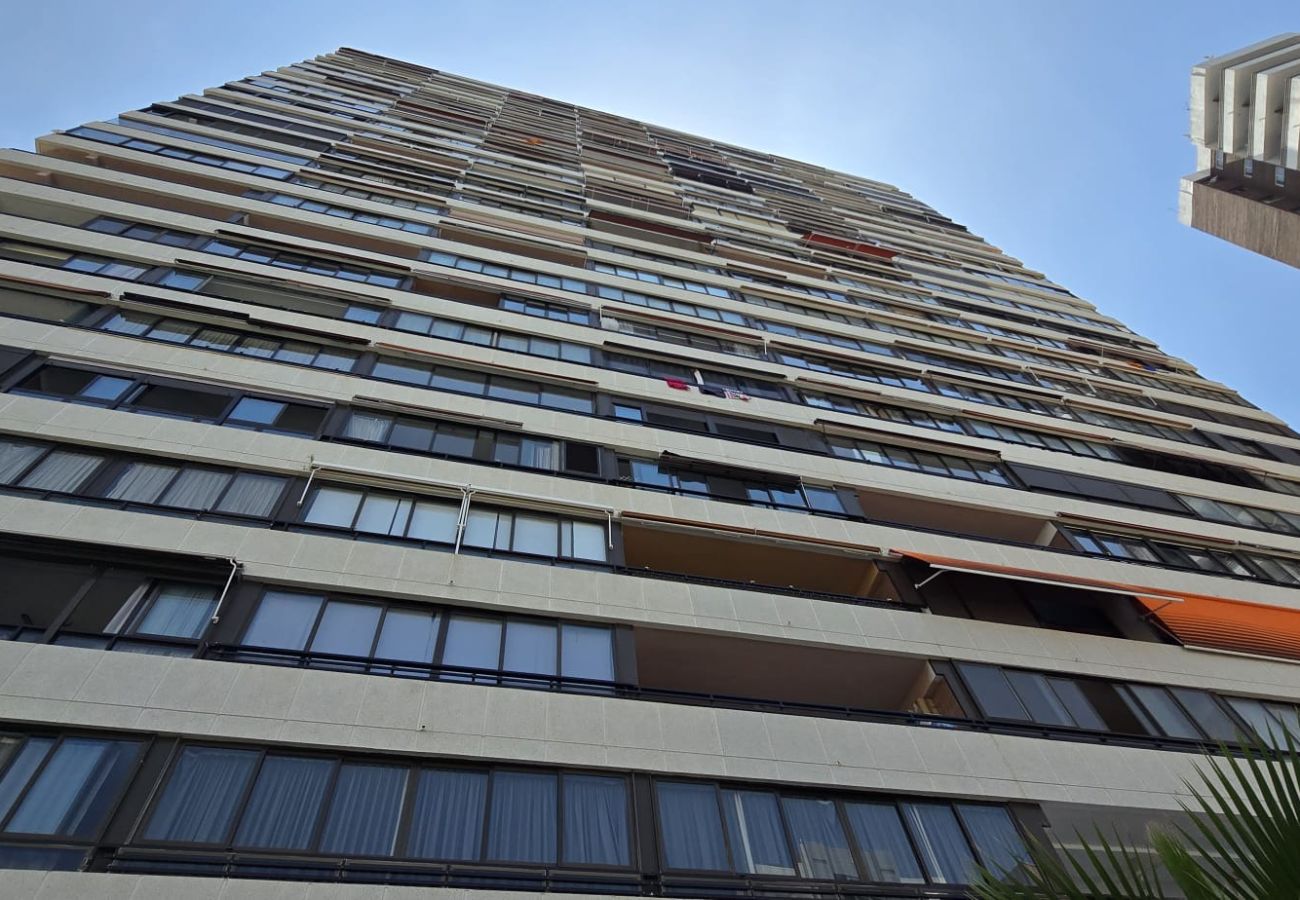 Apartment in Benidorm - TRINISOL 2 8B