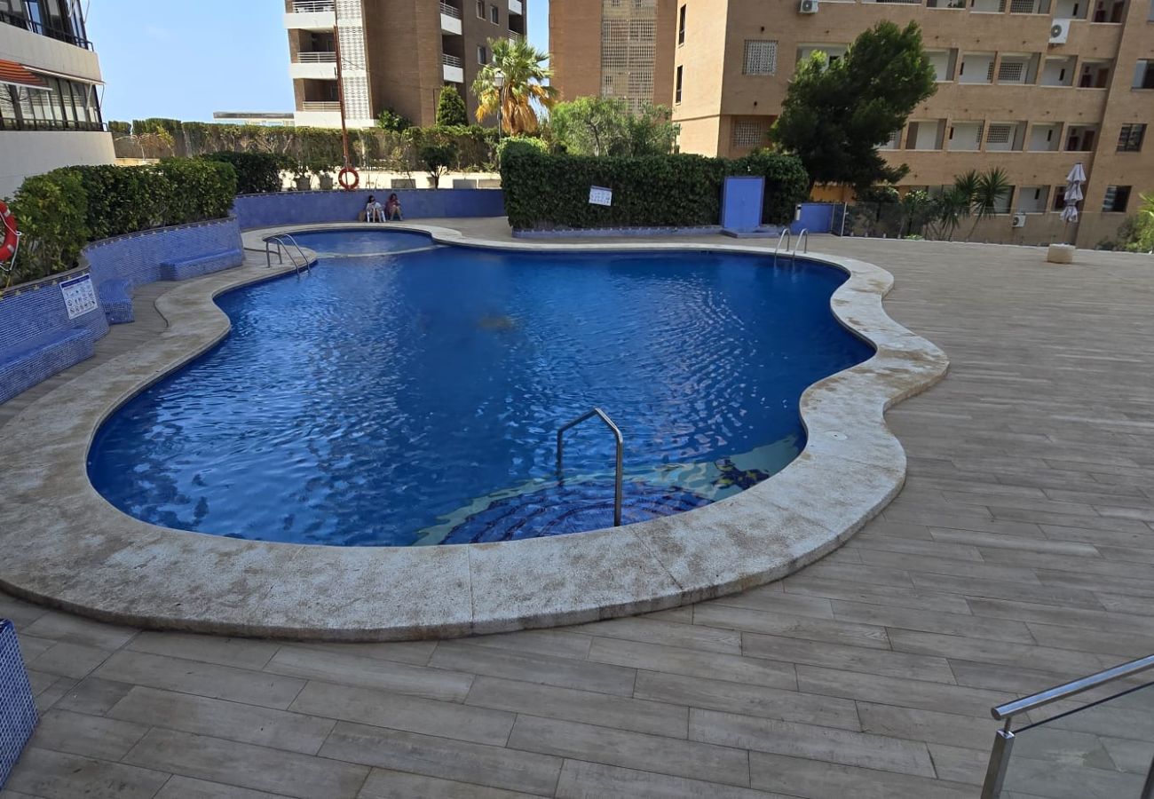 Apartment in Benidorm - TRINISOL 2 8B