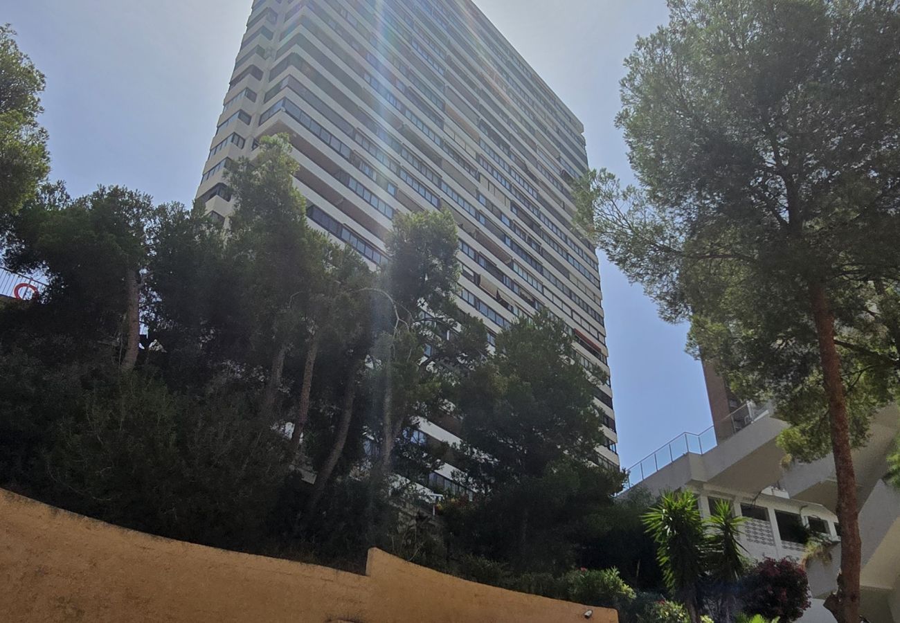 Apartment in Benidorm - TRINISOL 2 8B