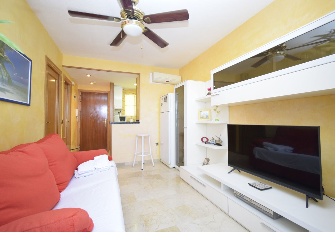 Apartment in Benidorm - TRINISOL 2 8B