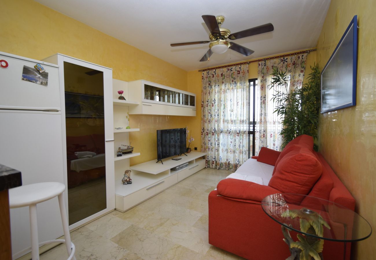 Apartment in Benidorm - TRINISOL 2 8B