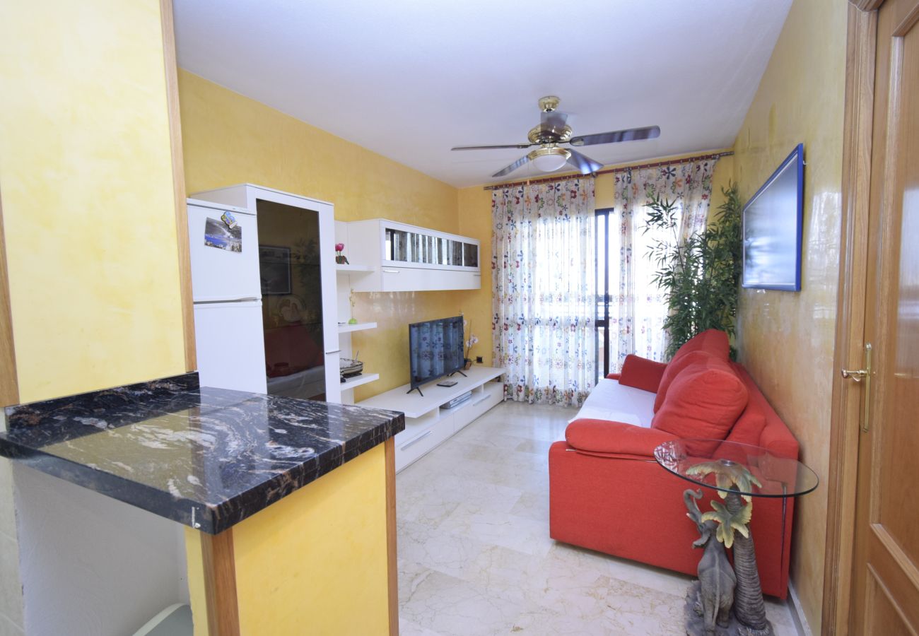 Apartment in Benidorm - TRINISOL 2 8B