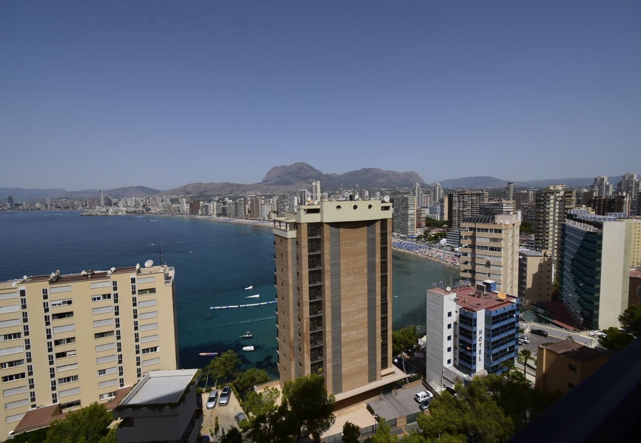 Apartment in Benidorm - TRINISOL 2 8B