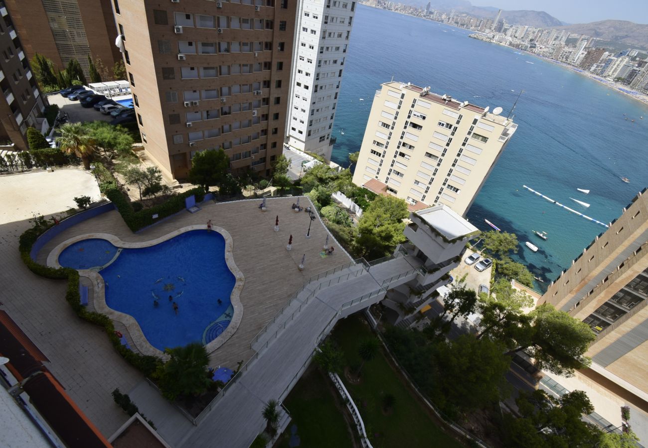 Apartment in Benidorm - TRINISOL 2 8B
