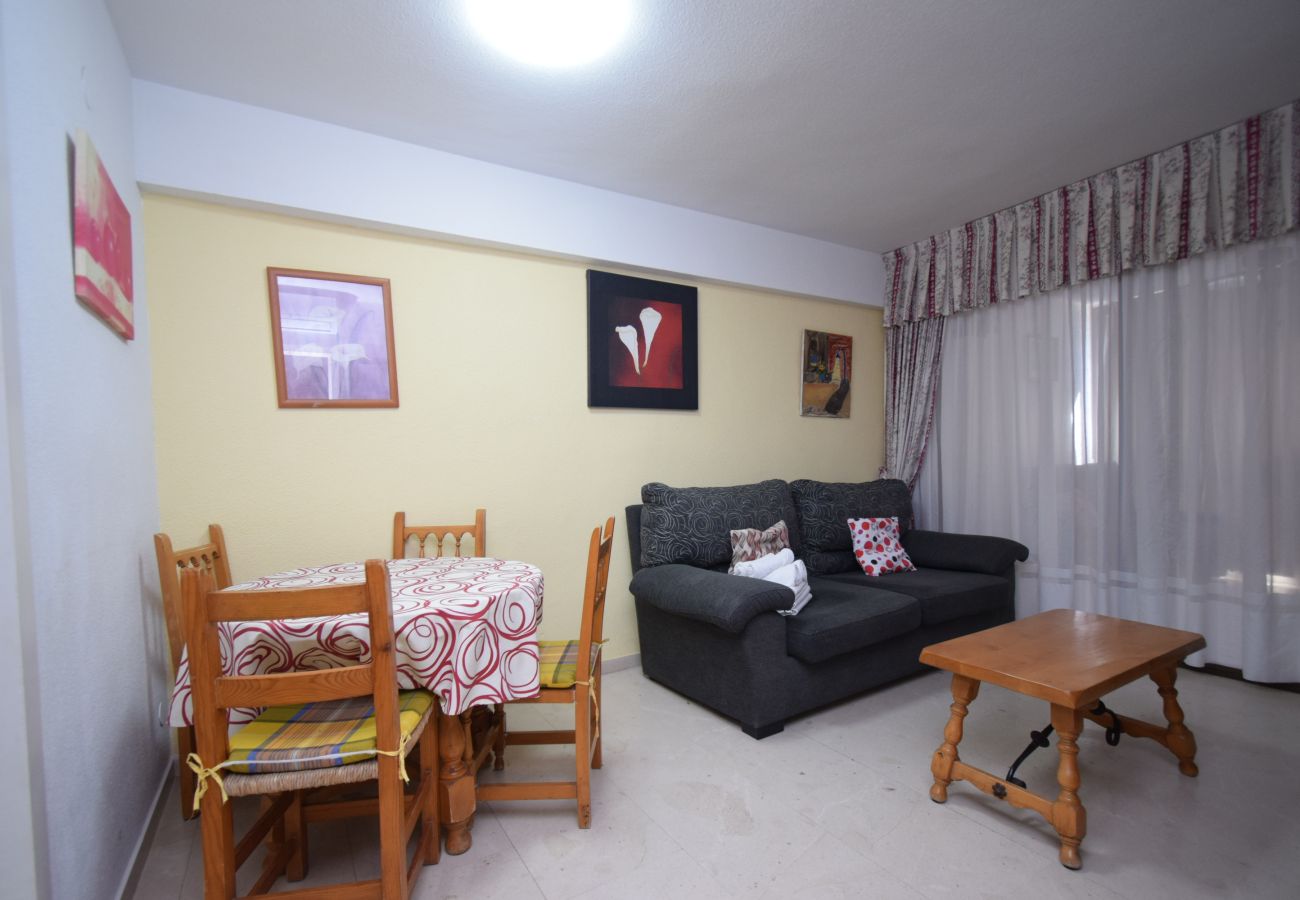 Apartment in Benidorm - LOS GEMELOS 15E