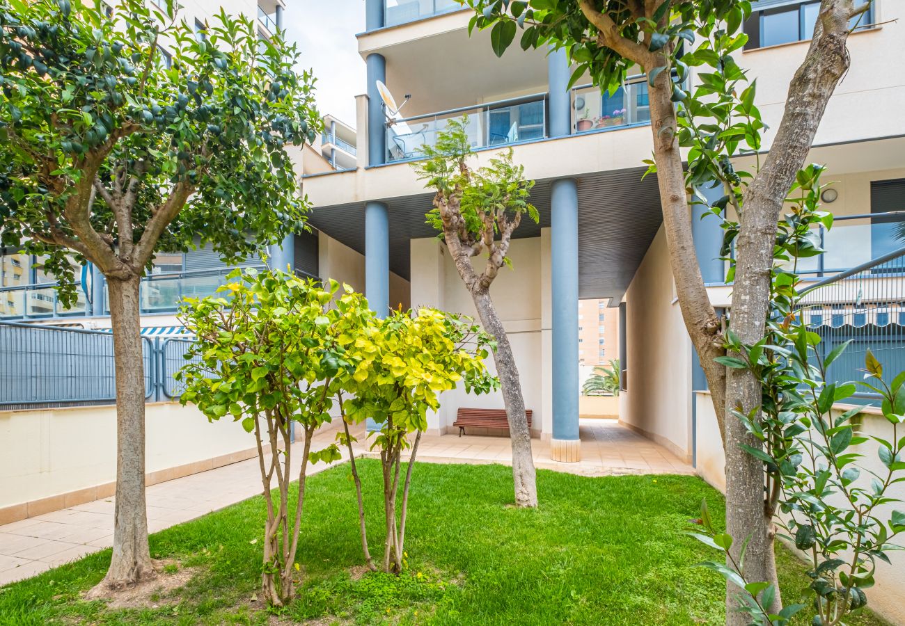 Apartment in Villajoyosa - TAMARINDO-E  7F - Playa la Cala beach