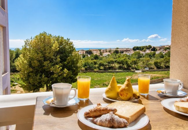 Apartment in Alcoceber / Alcossebre - Oasis Mediterraneo - Pet Friendly , Wifi y A/A