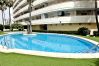 Apartment in Gandia - BITACORA 8 - 3ª - 8º - E Apartment in Gandia - BITACORA 8 - 3ª - 8º - E