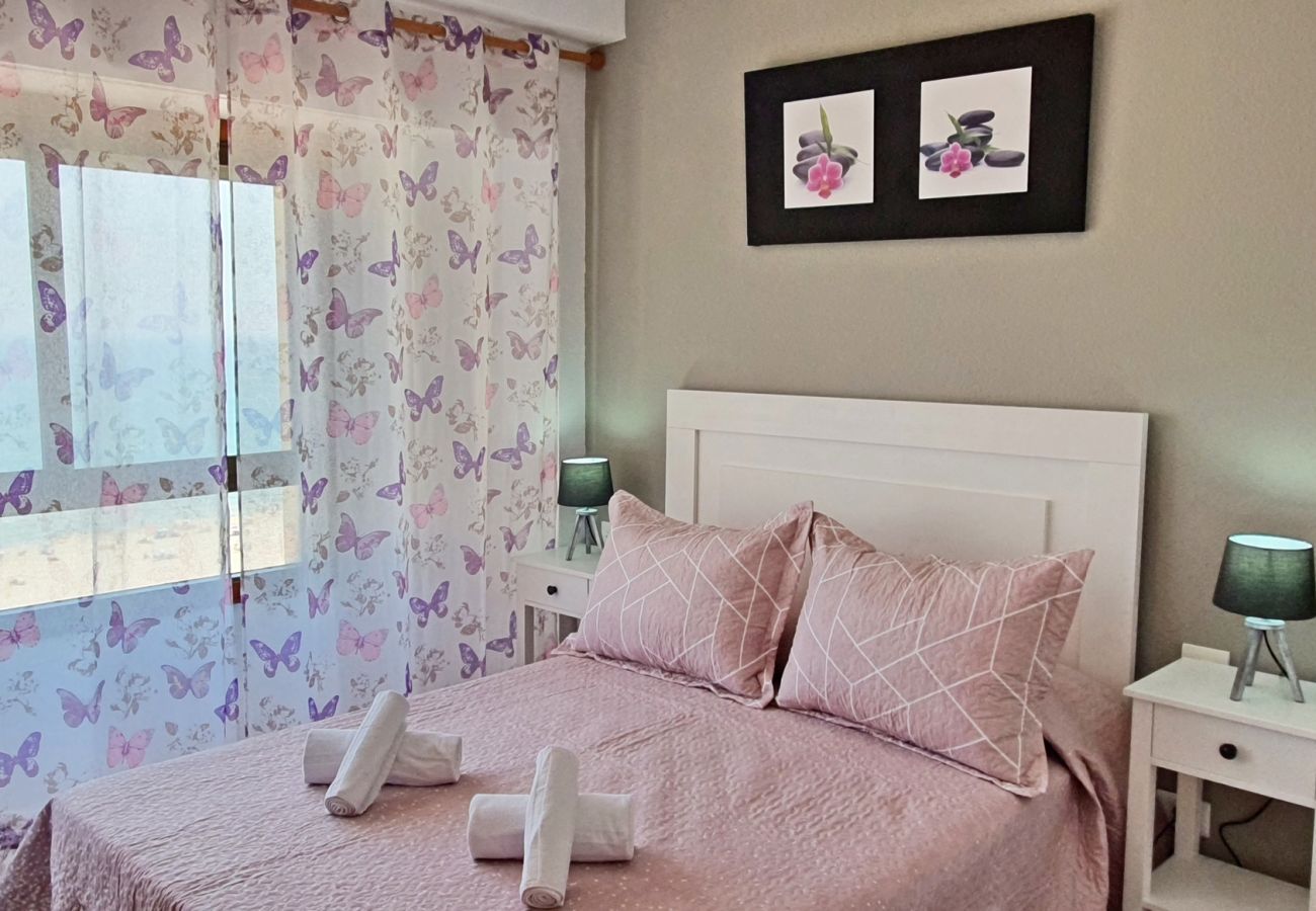 Apartment in Gandía - DANIO 12º - B