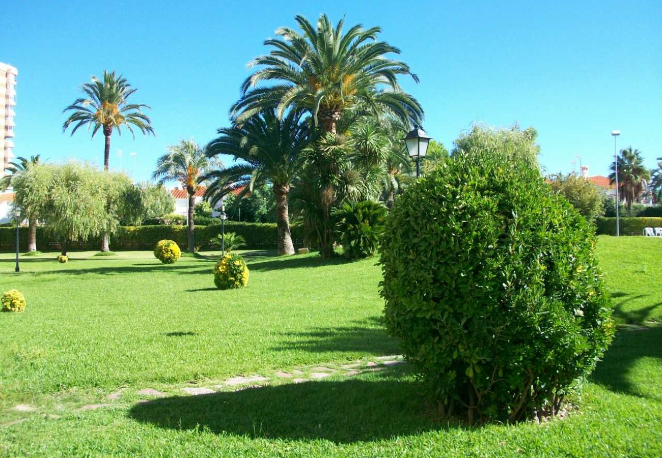 Apartment in Gandía - LOS CARMENES 5ª - 3º - 5ª