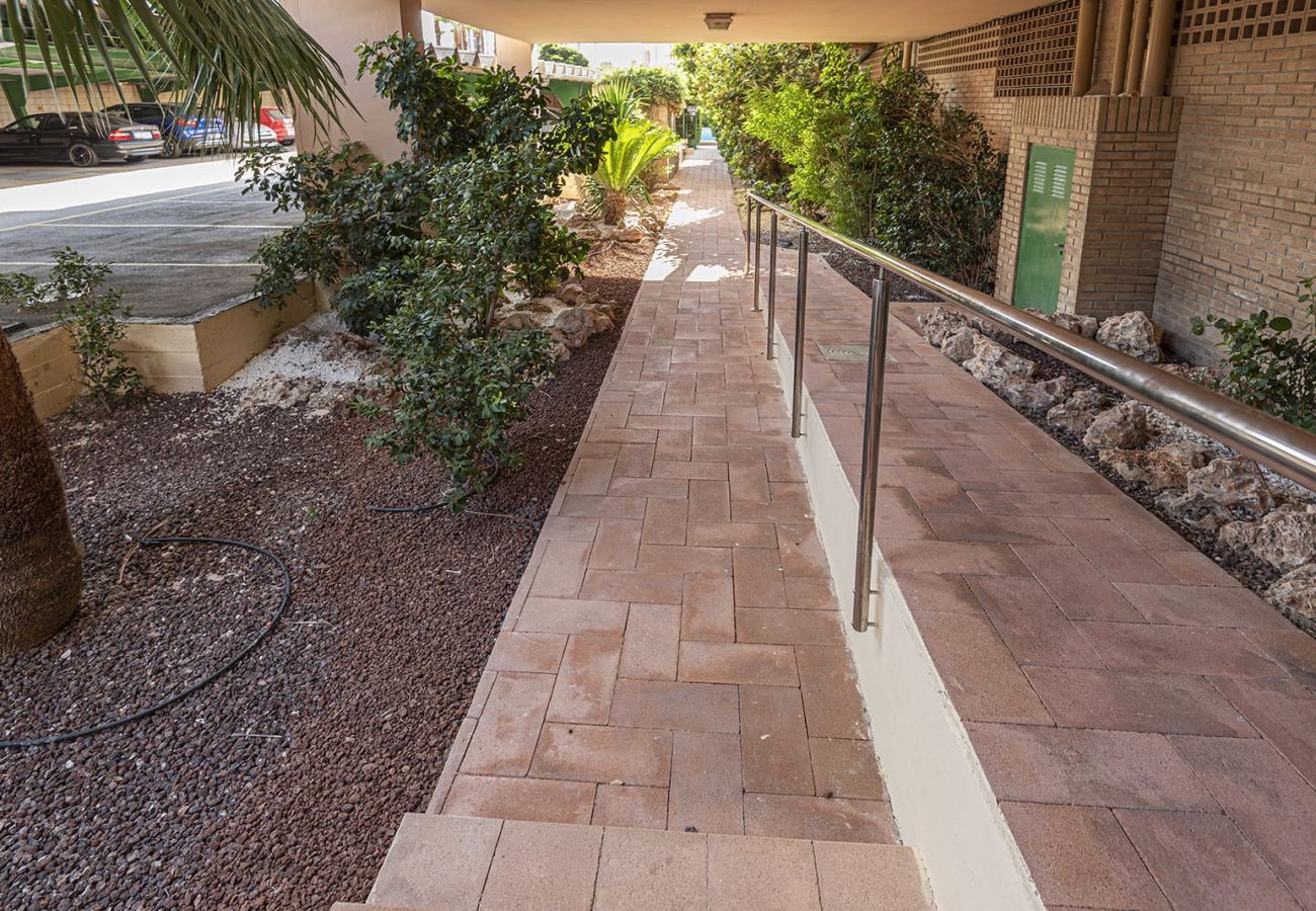 Apartment in Calpe / Calp - Alq 330 Etxezuri 13