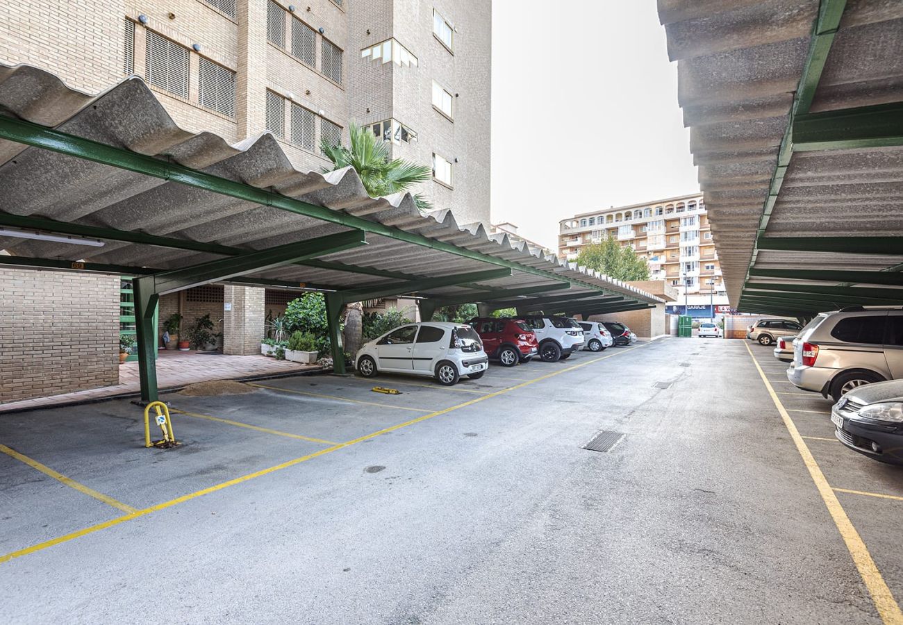 Apartment in Calpe / Calp - Alq 330 Etxezuri 13