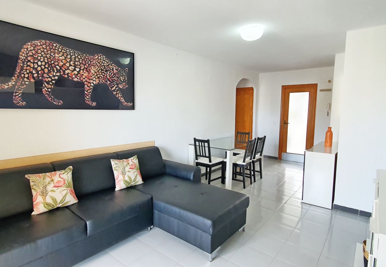 Apartment in Gandía - GARDENIAS II - 2ª - 8º - C