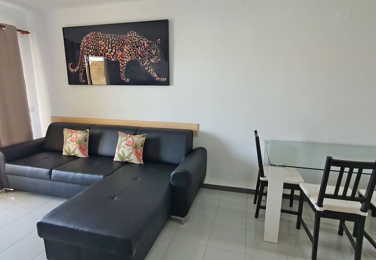 Apartment in Gandía - GARDENIAS II - 2ª - 8º - C