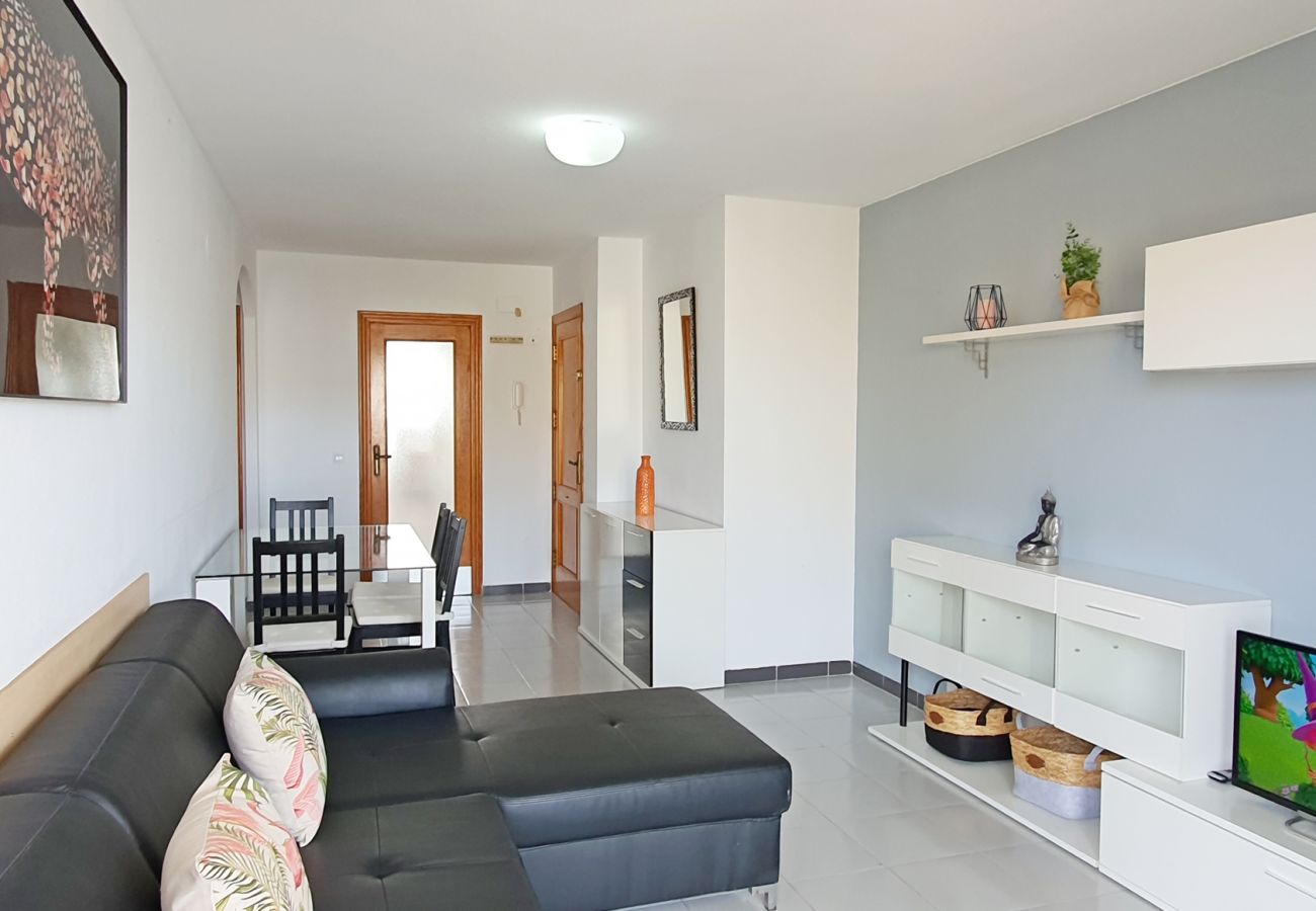 Apartment in Gandía - GARDENIAS II - 2ª - 8º - C