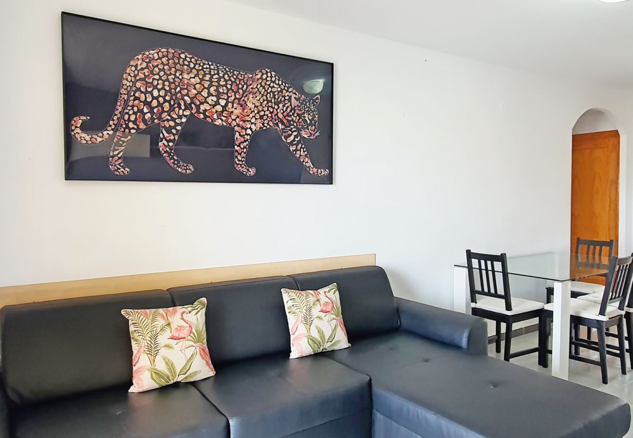 Apartment in Gandía - GARDENIAS II - 2ª - 8º - C