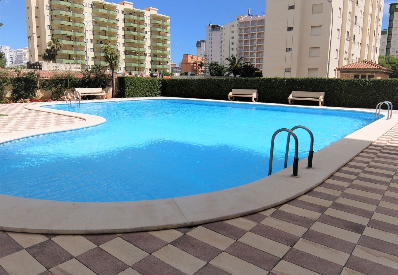 Apartment in Gandía - GARDENIAS II - 2ª - 8º - C