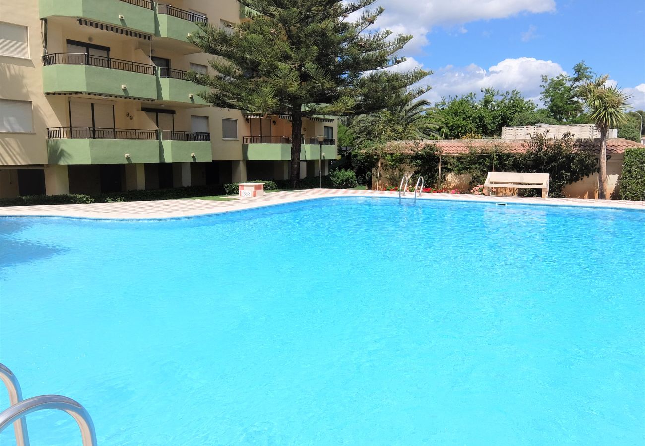 Apartment in Gandía - GARDENIAS II - 2ª - 8º - C