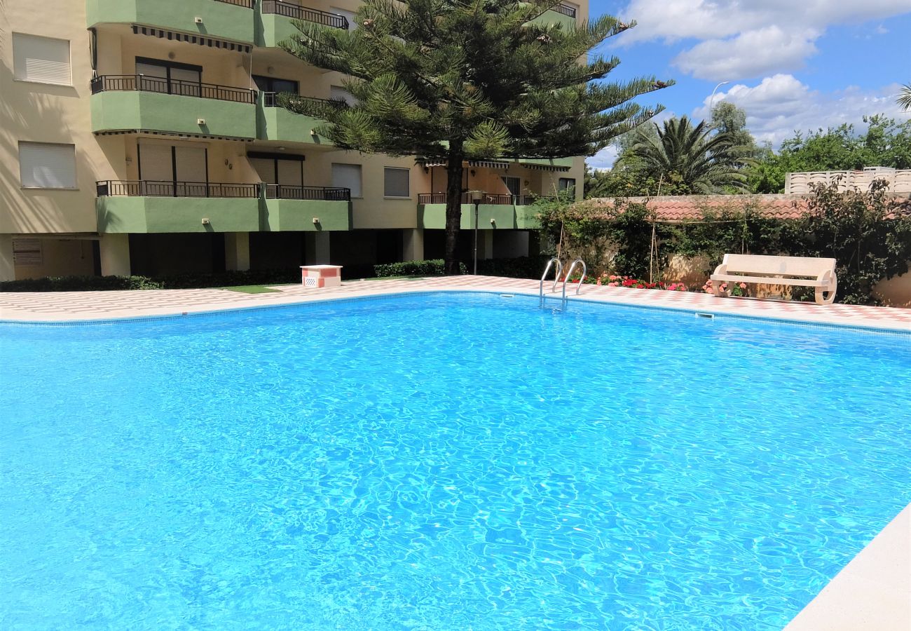 Apartment in Gandía - GARDENIAS II - 2ª - 8º - C