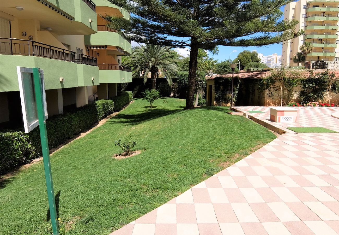 Apartment in Gandía - GARDENIAS II - 2ª - 8º - C