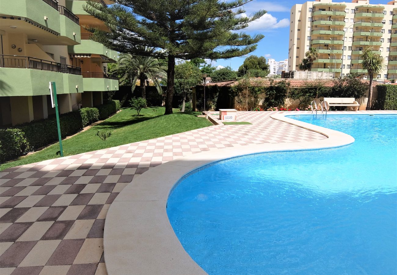 Apartment in Gandía - GARDENIAS II - 2ª - 8º - C