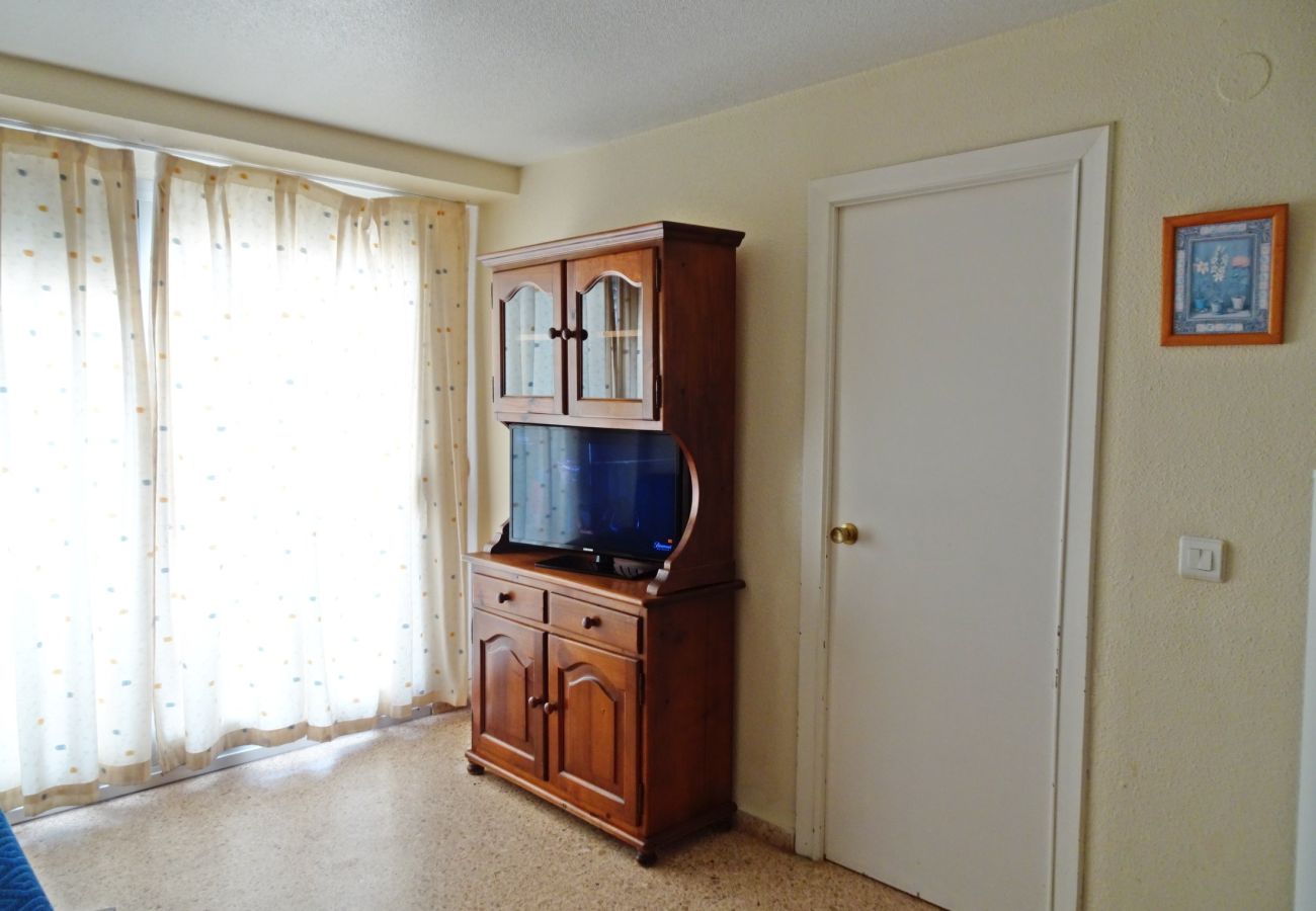 Apartment in Gandía - INFANTE E4 - 13