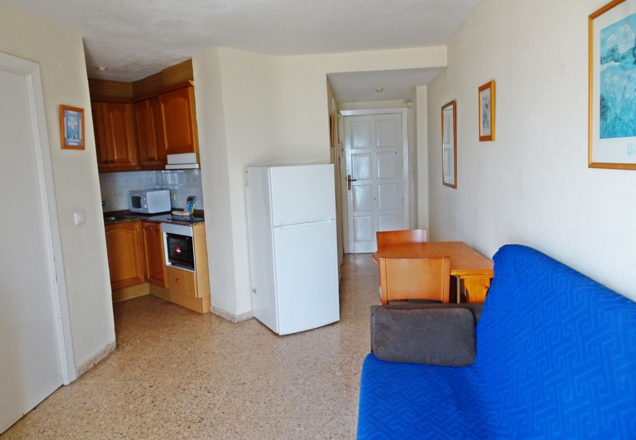 Apartment in Gandía - INFANTE E4 - 13