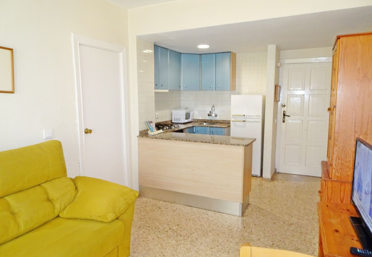 Apartment in Gandía - INFANTE E5 - 6